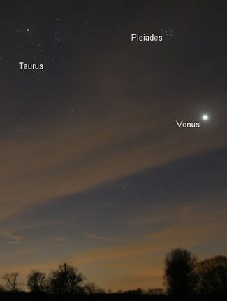 Venus and Pleiades converge in night sky